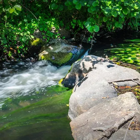 Hirtenhaus 28b Erdgeschoss * Chorin