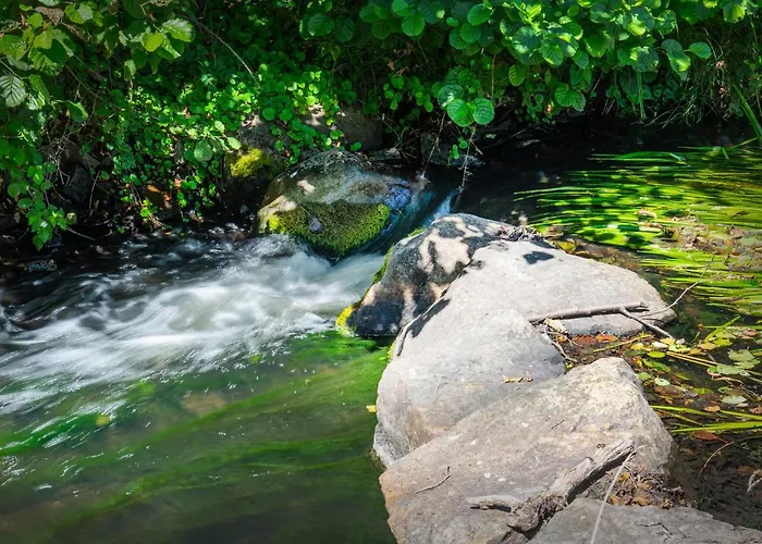 Hirtenhaus 28b Erdgeschoss * Chorin